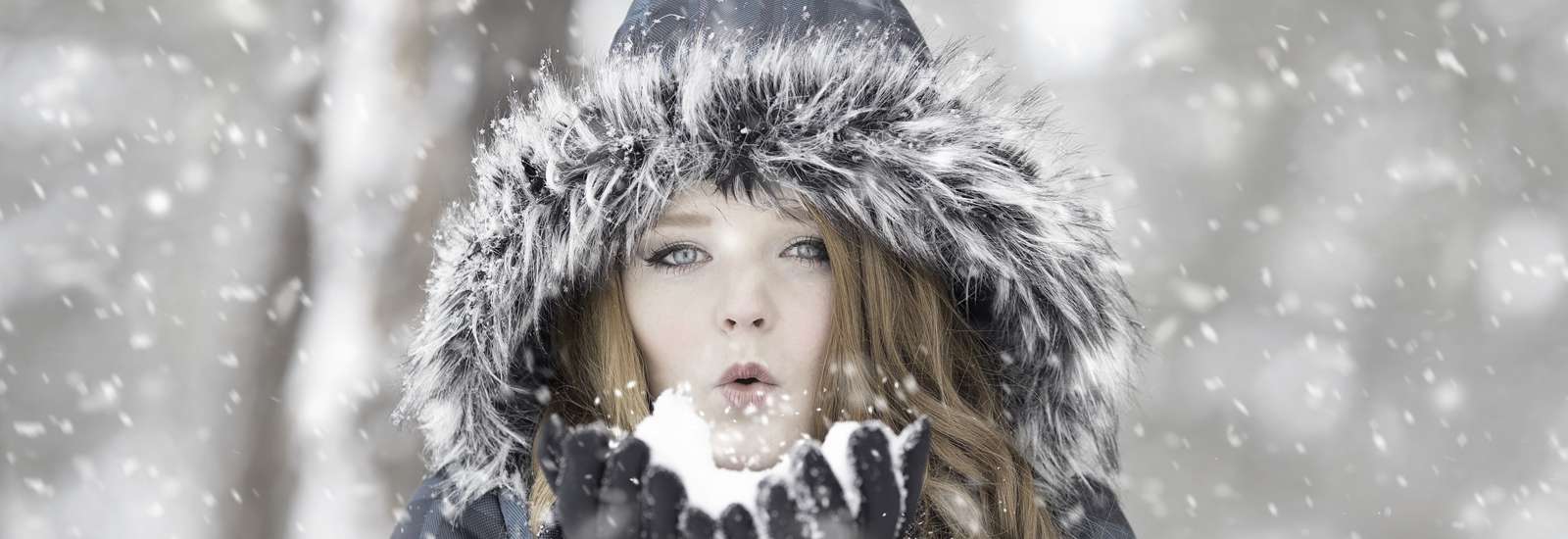 Schweizer Lernagentur